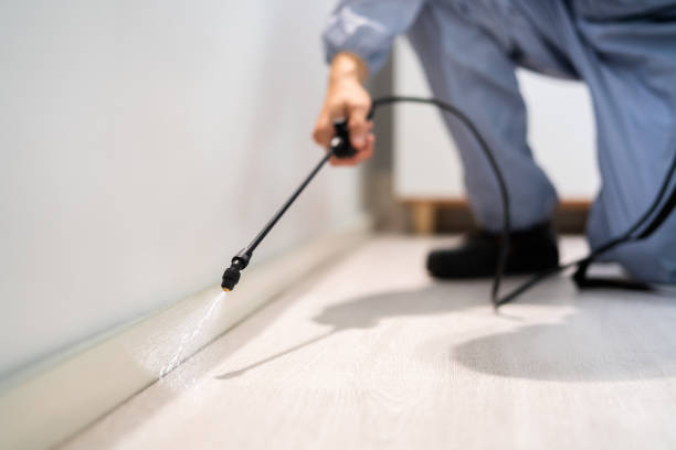 Licensed Termite Control service in East Canton, OH - Nex Pest Control