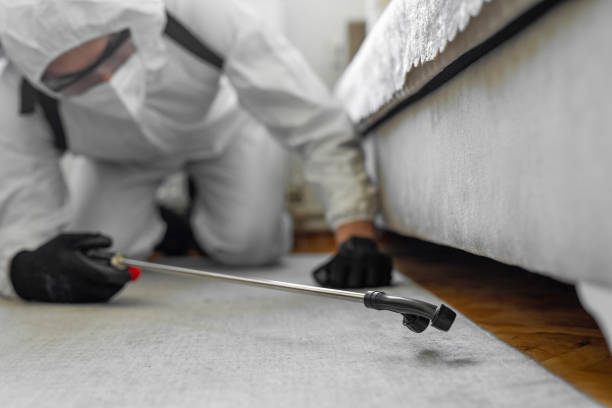 Professional Termite Control technician working in East Canton, OH
