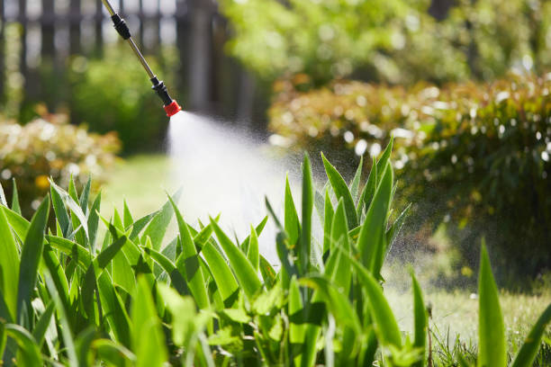 24/7 Emergency Termite Control experts in East Canton, OH