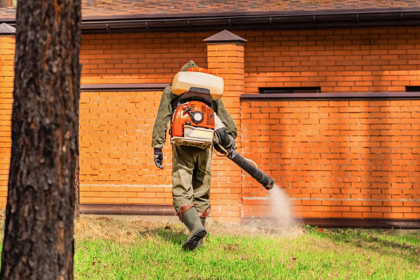 Trusted Termite Control service in East Canton, OH - Nex Pest Control
